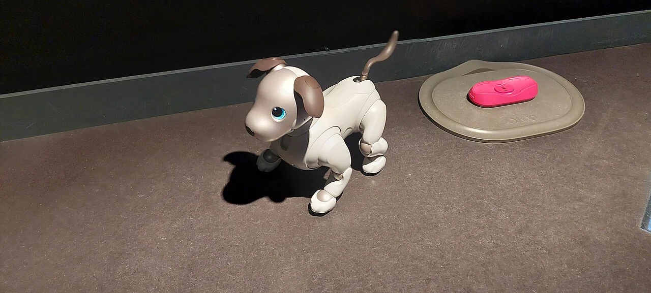 A Sony AIBO robotic dog on display