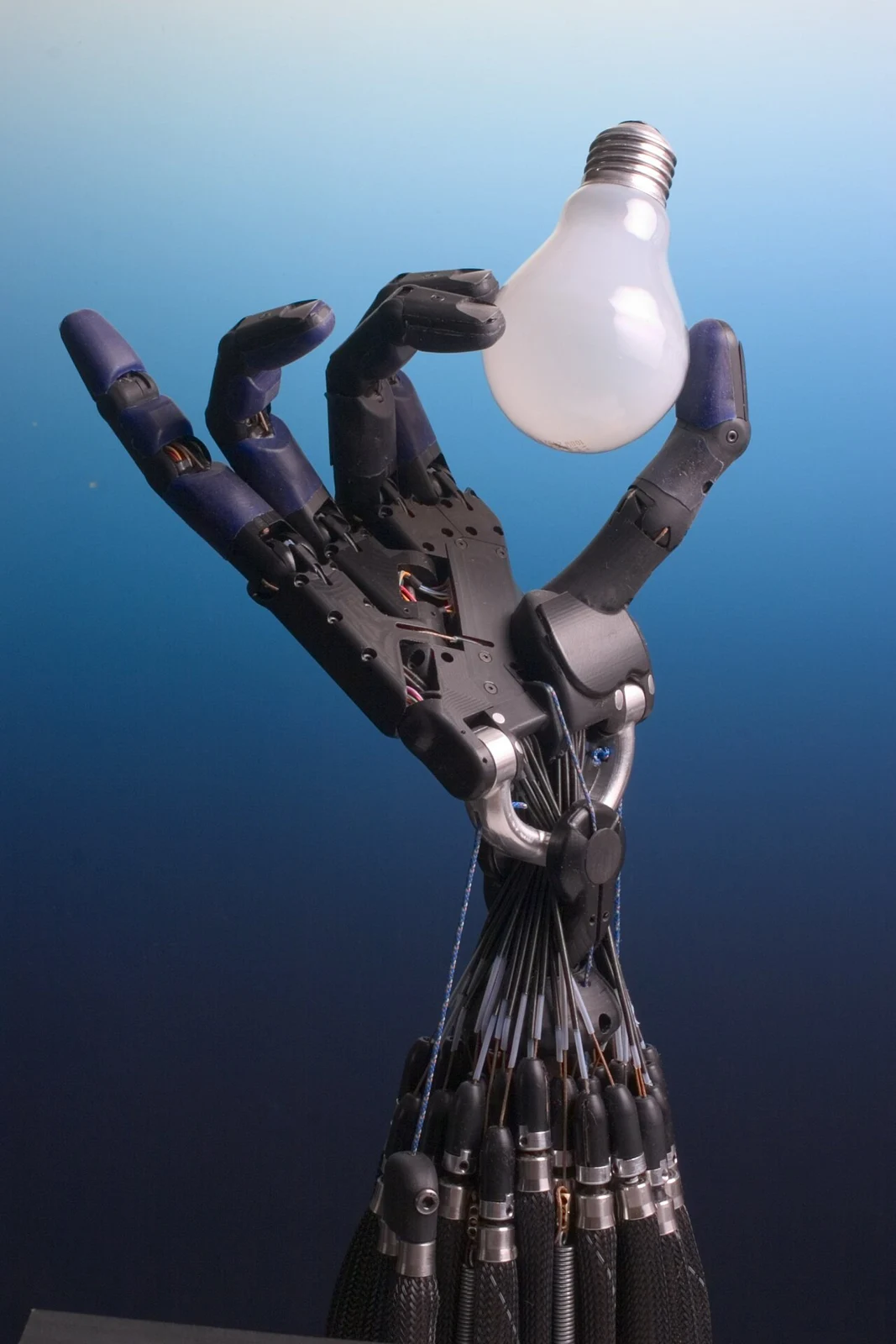 Shadow Dexterous Hand holding a light bulb